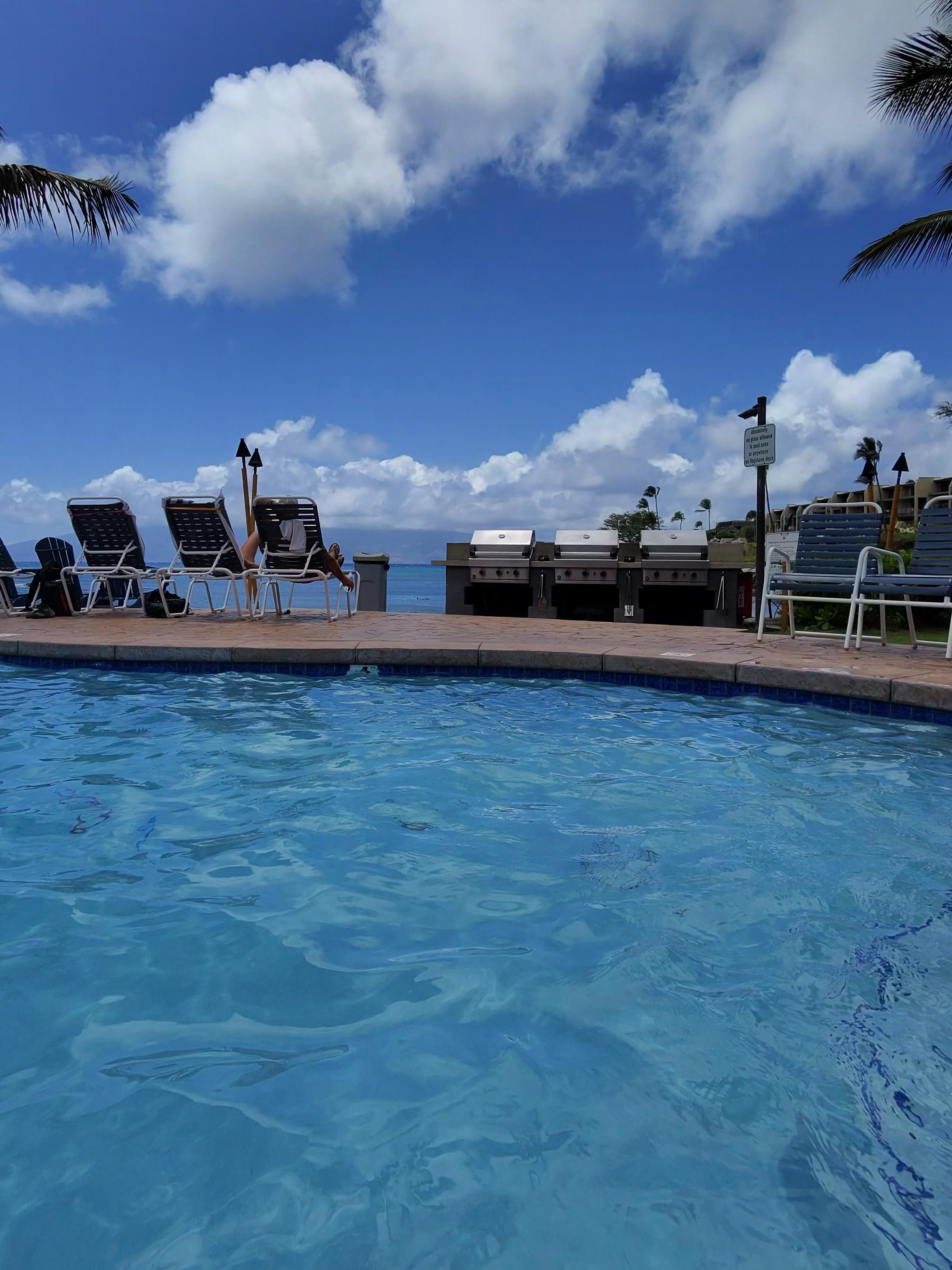 At the pool looking out to the cove 