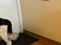 Stain on wall by the door