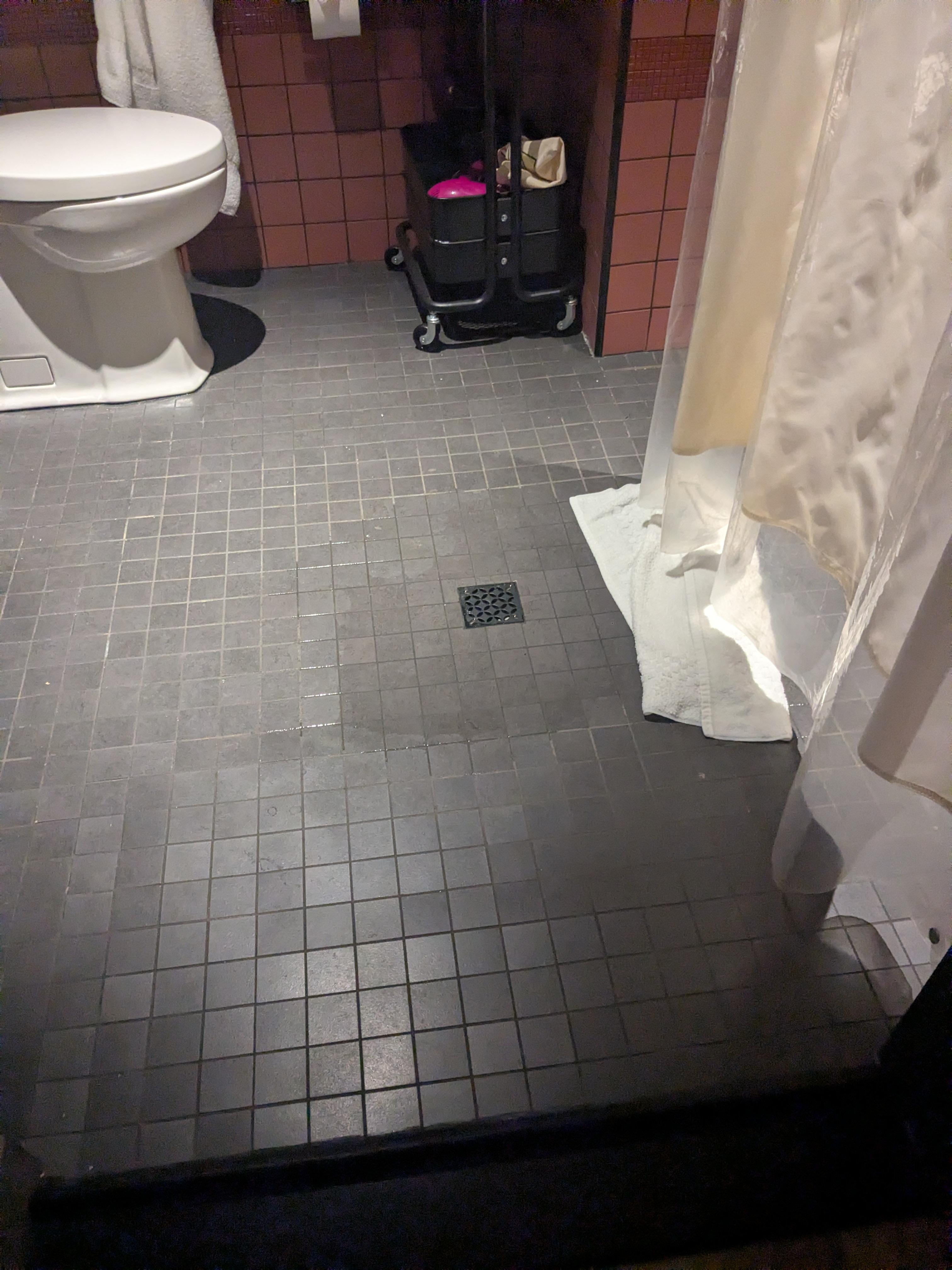 The shower drains into the floor of the bathroom. Tried to block it with a towel. Never drained the whole time we were there.