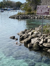3 sisters springs park