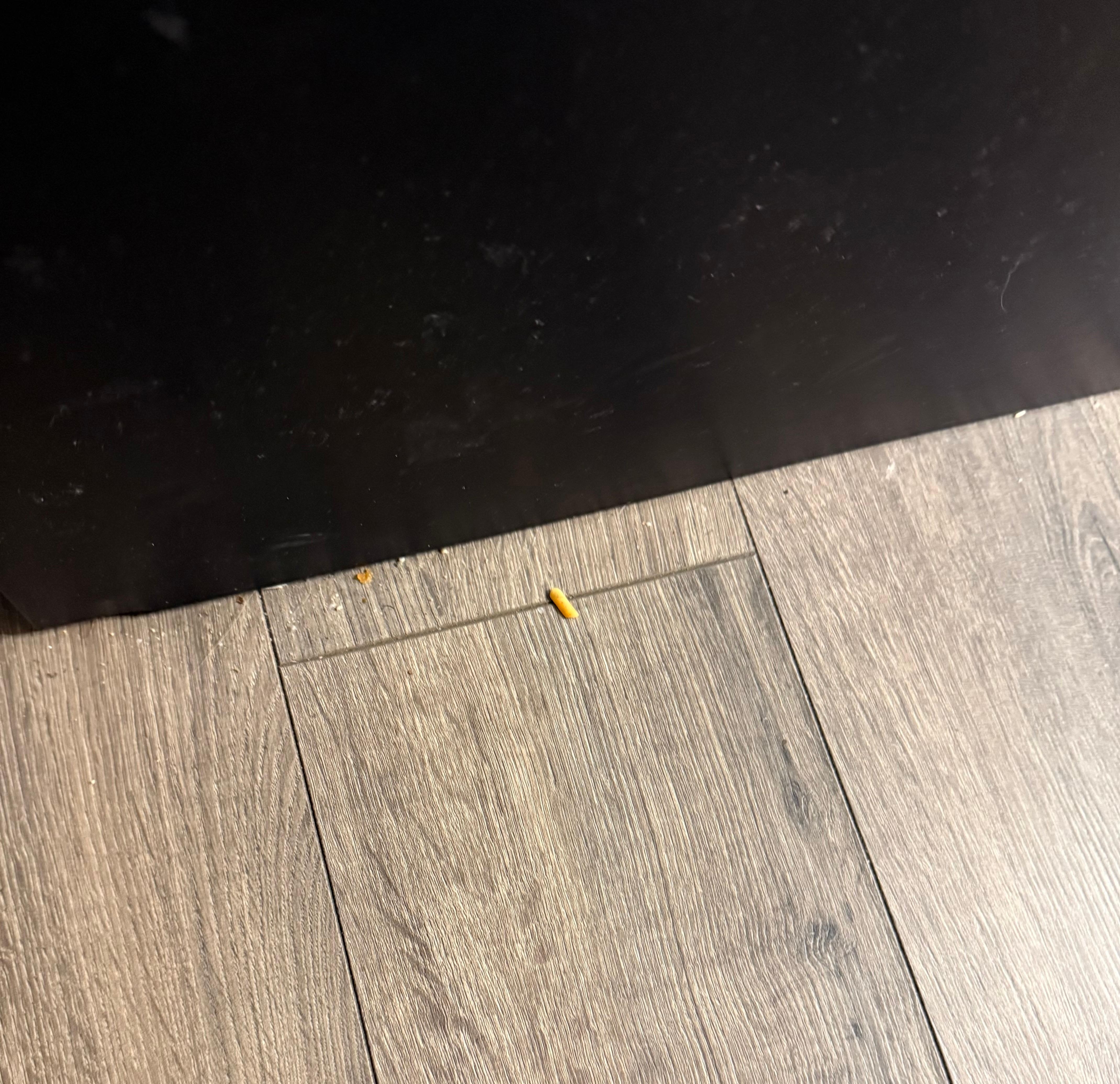 Dirt beside the bed and dirt on the metal black part of the bed