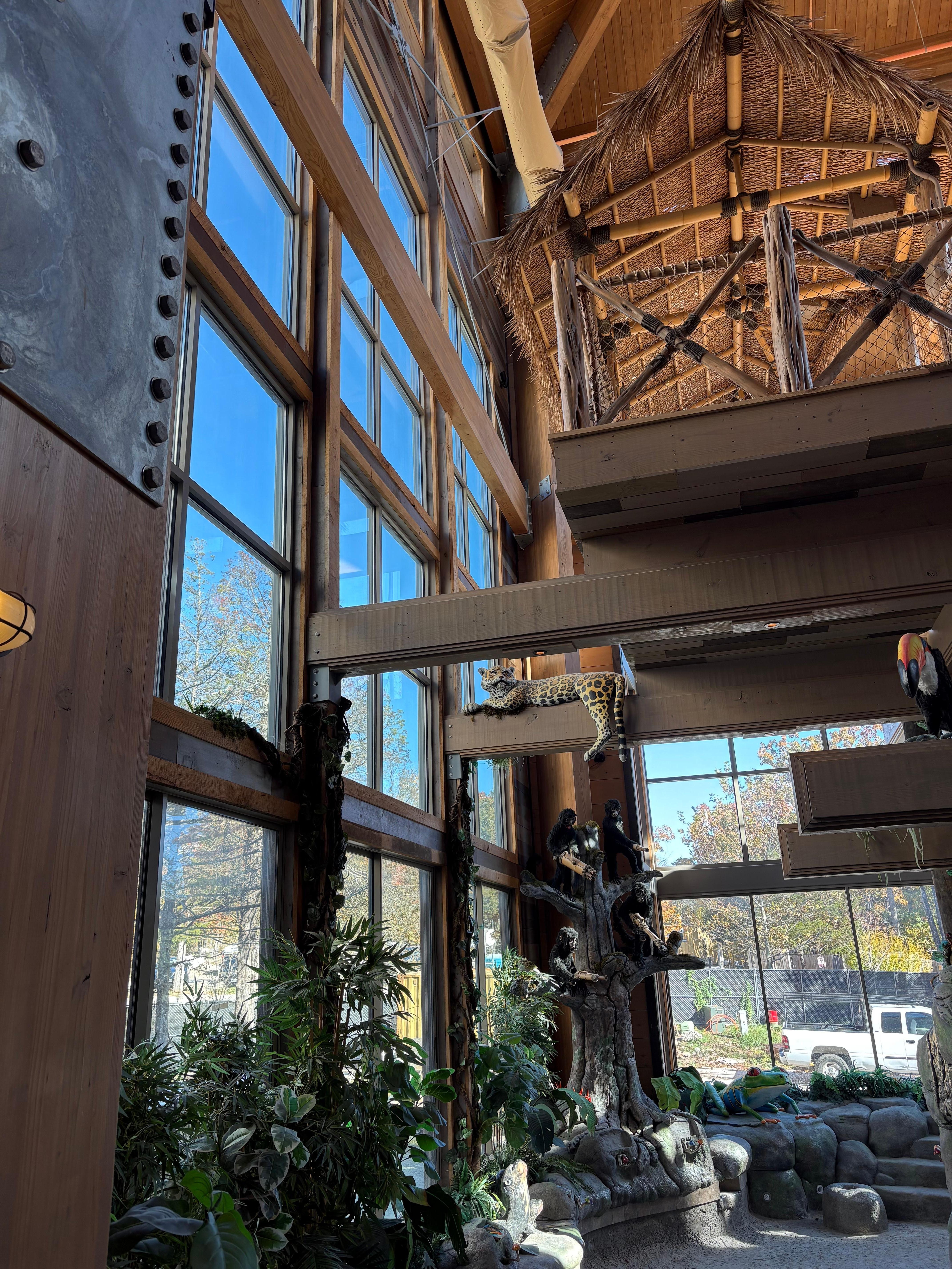 Endangered Rain Firest