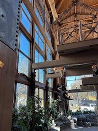 Endangered Rain Firest