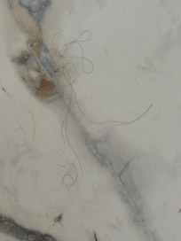 Very dirty and unkept shower in master bath