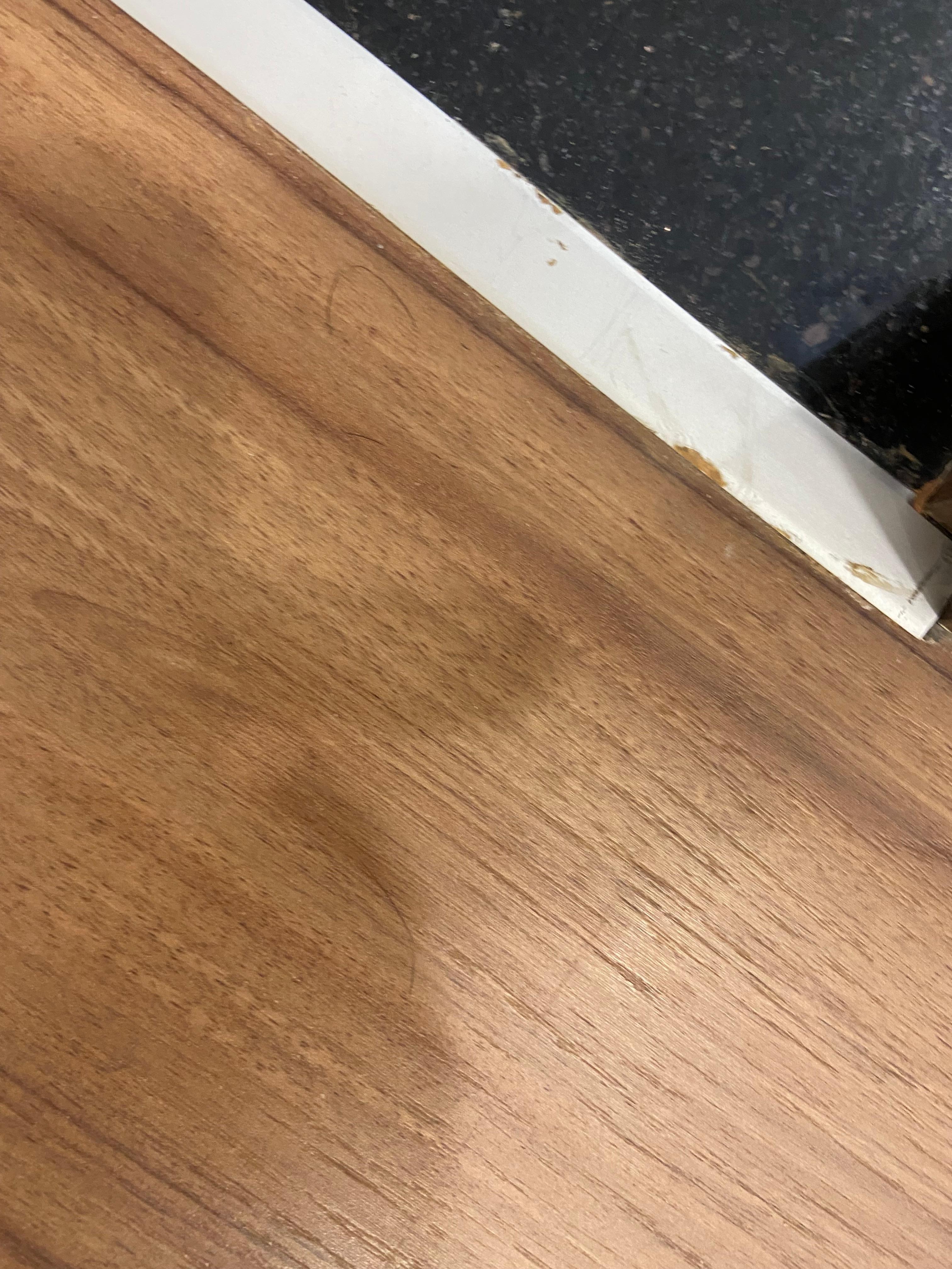 Hairs on the floor upon check in 