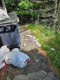 Garbage left from previous guests that we had to clean up.