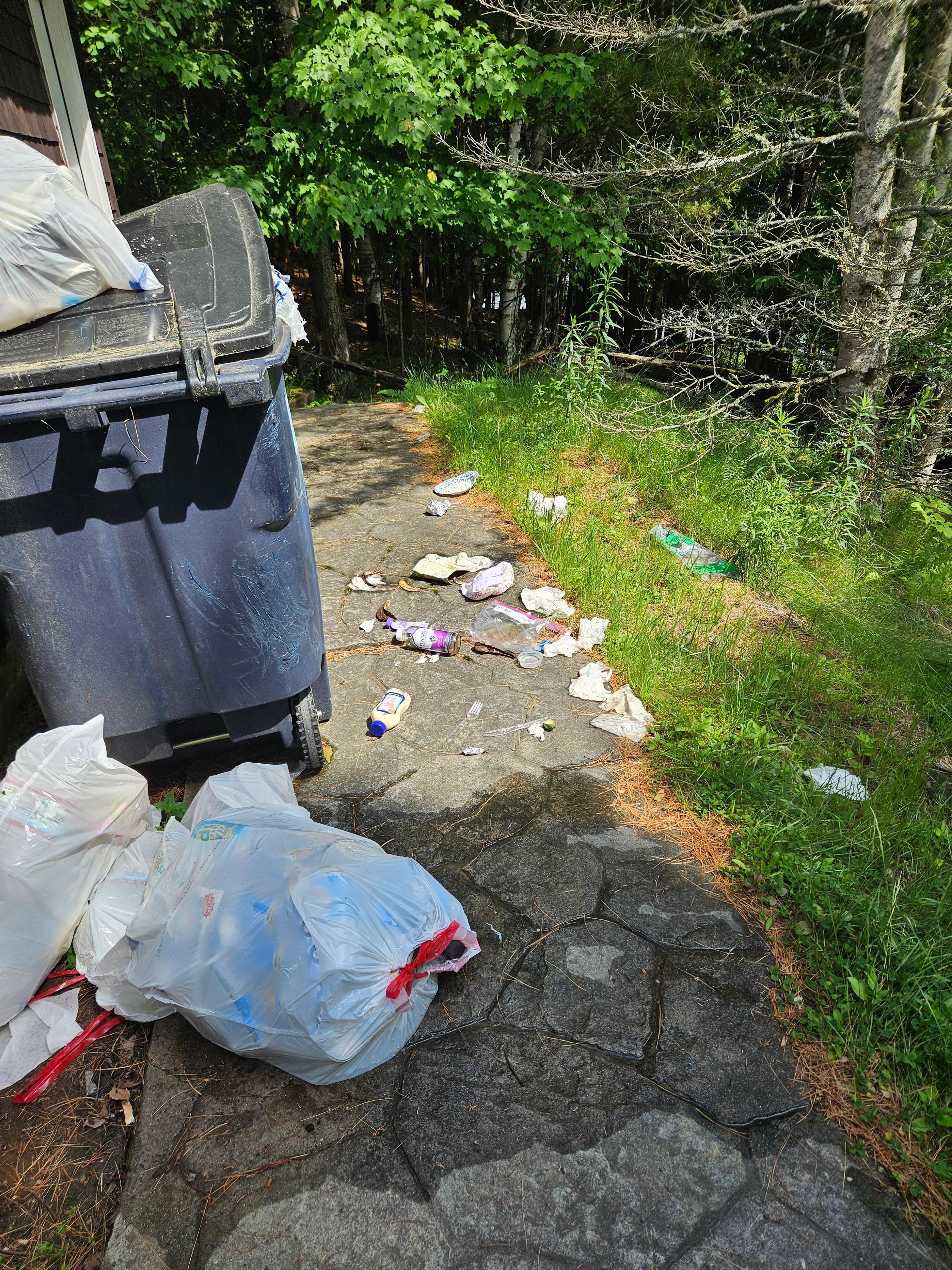 Garbage left from previous guests that we had to clean up.