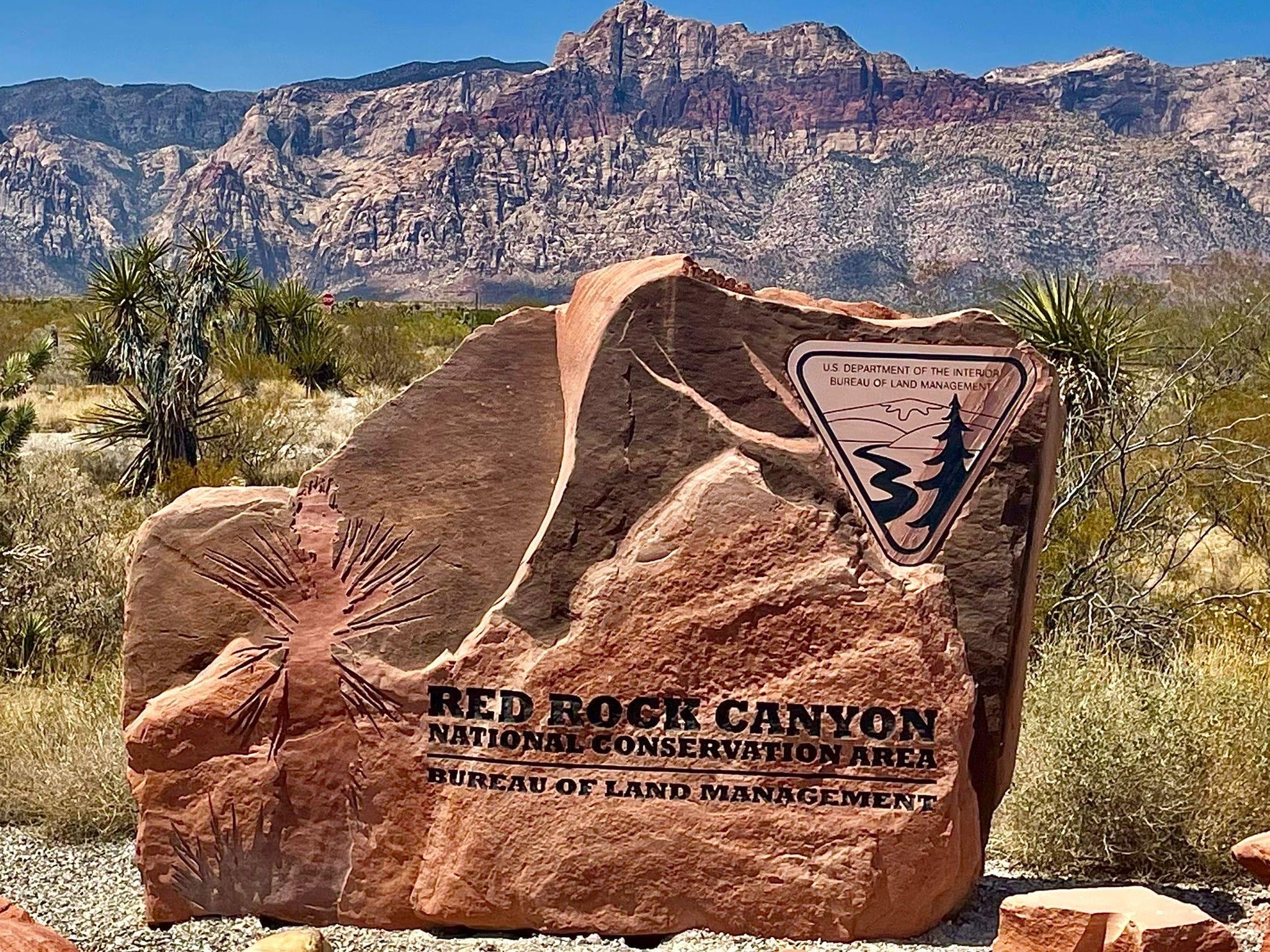 Faszinierend! Unbedingt anschauen. 