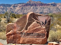 Faszinierend! Unbedingt anschauen.