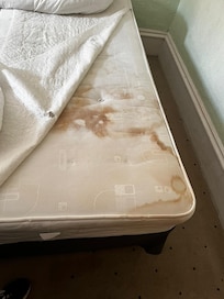 Our beds