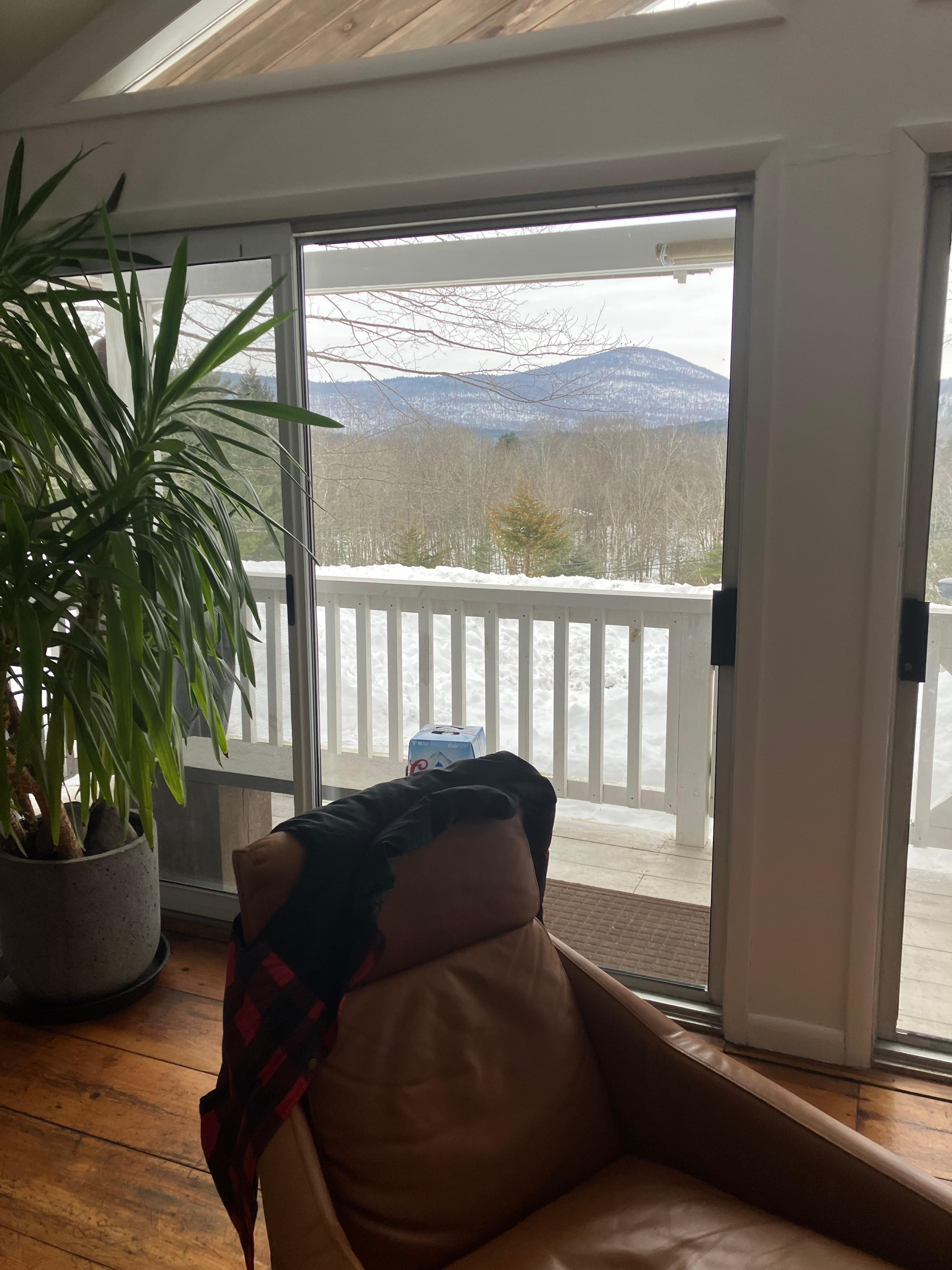 View from our front window