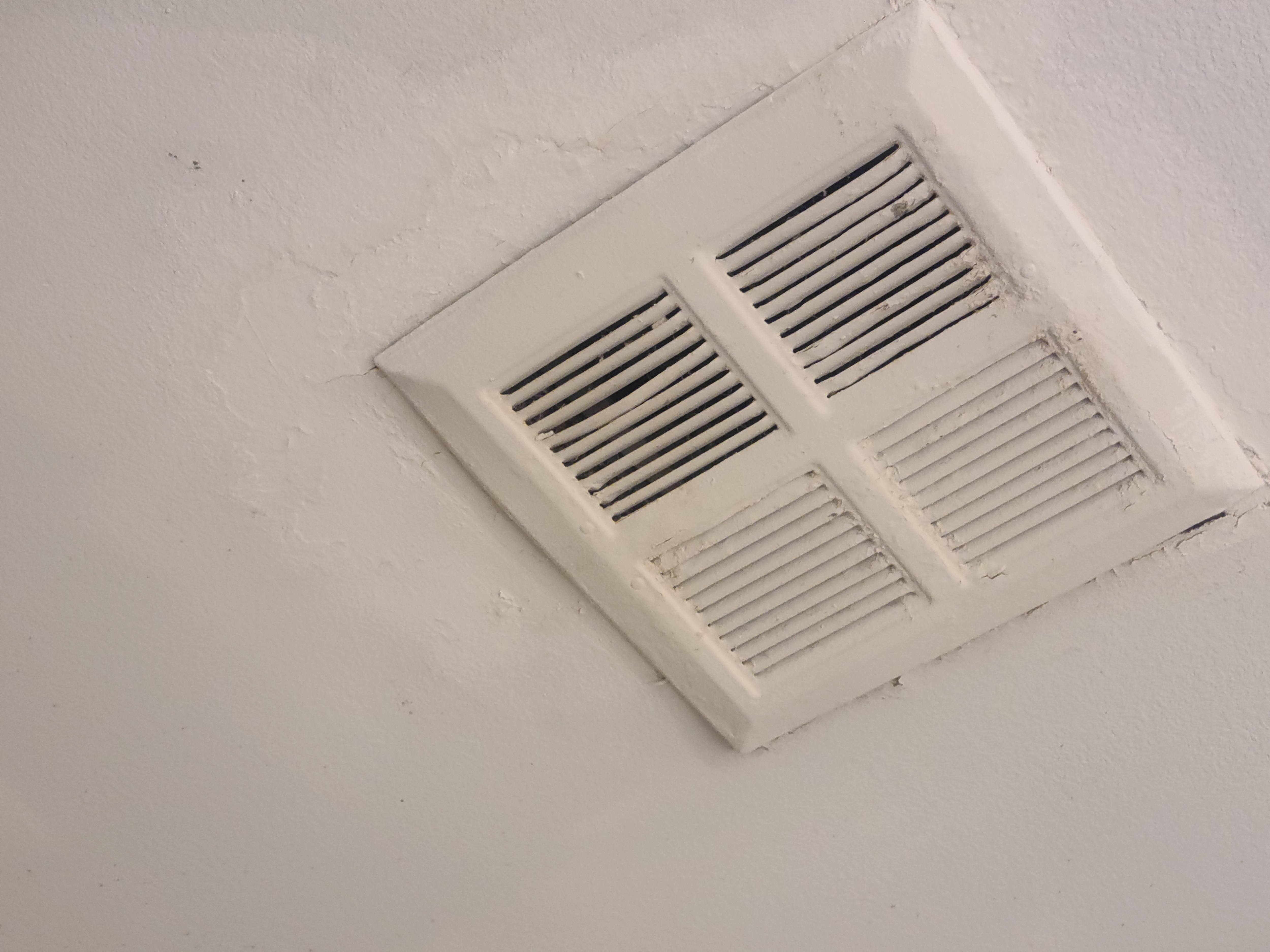 Paint peeling off ceiling