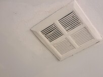 Paint peeling off ceiling