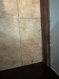 Bathroom floor disrepair.