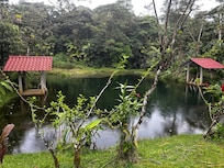 Little freshwater pond