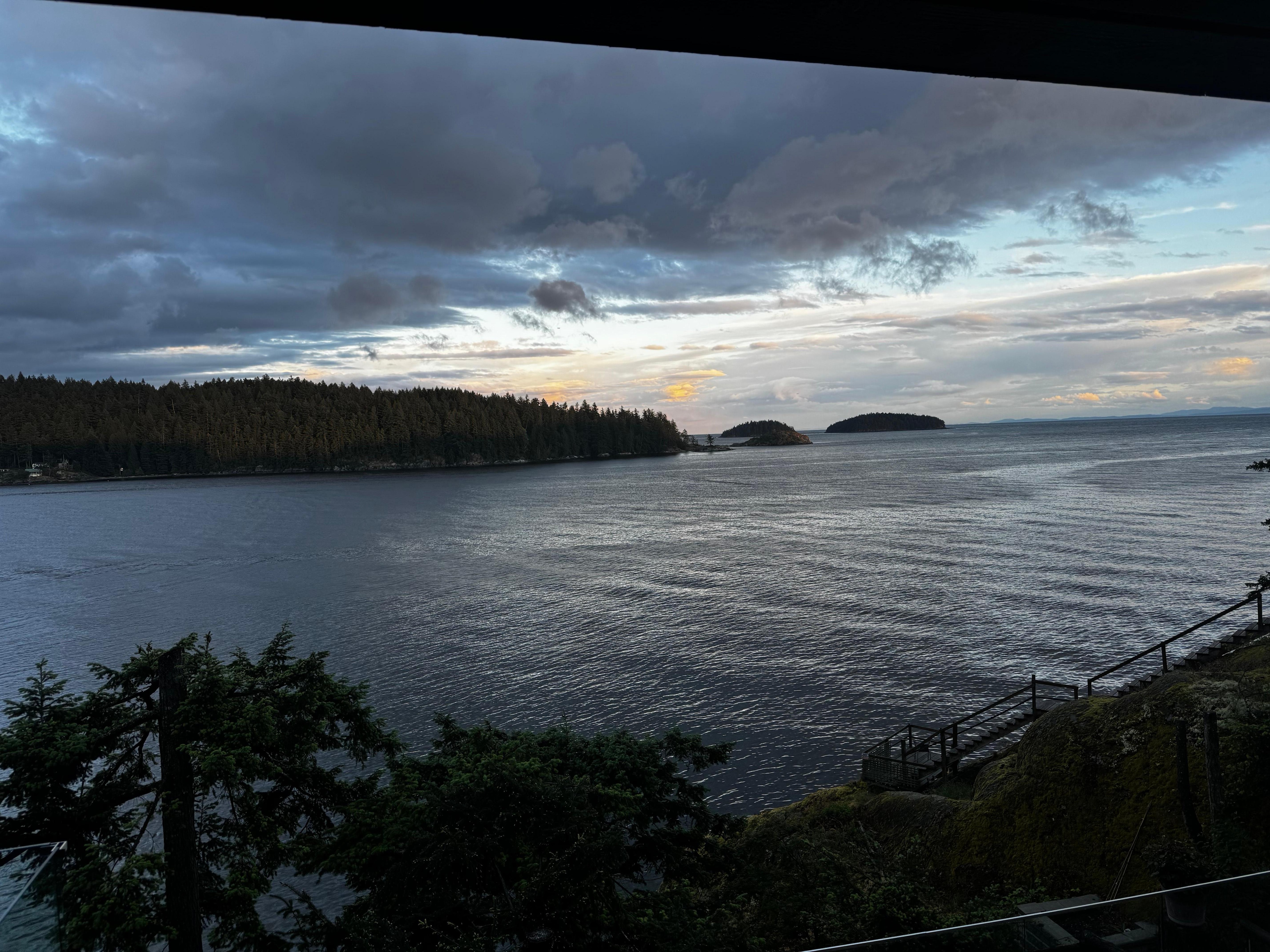The view