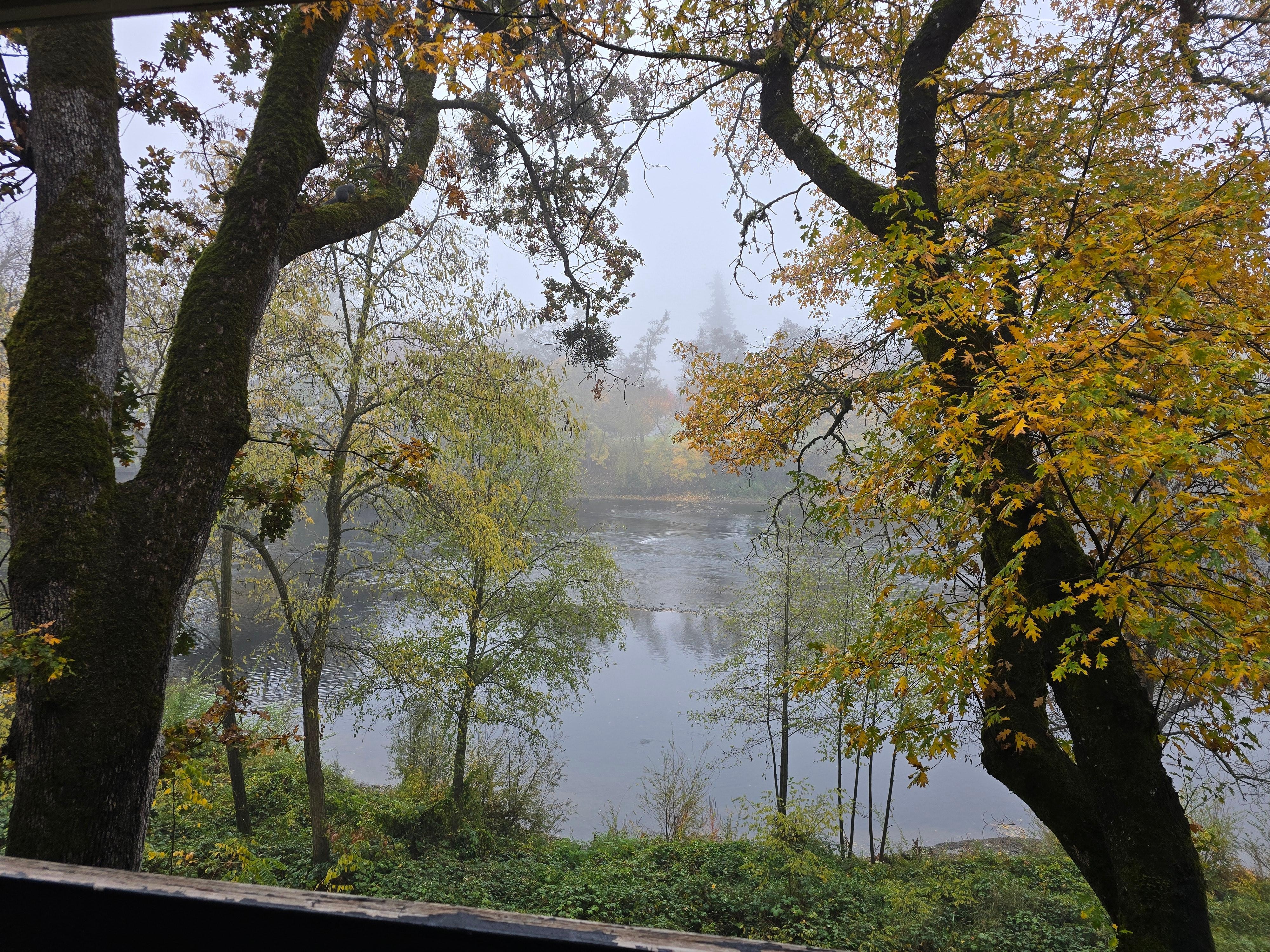 View in the morning from our room