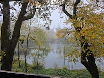 View in the morning from our room