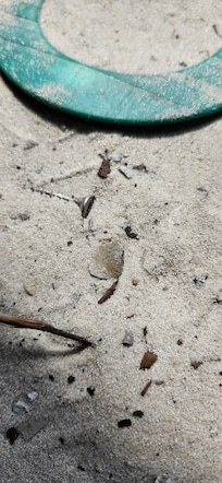 One of many screws found under property carport/sand area