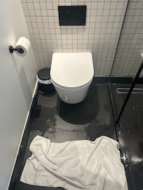 Bathroom and shower