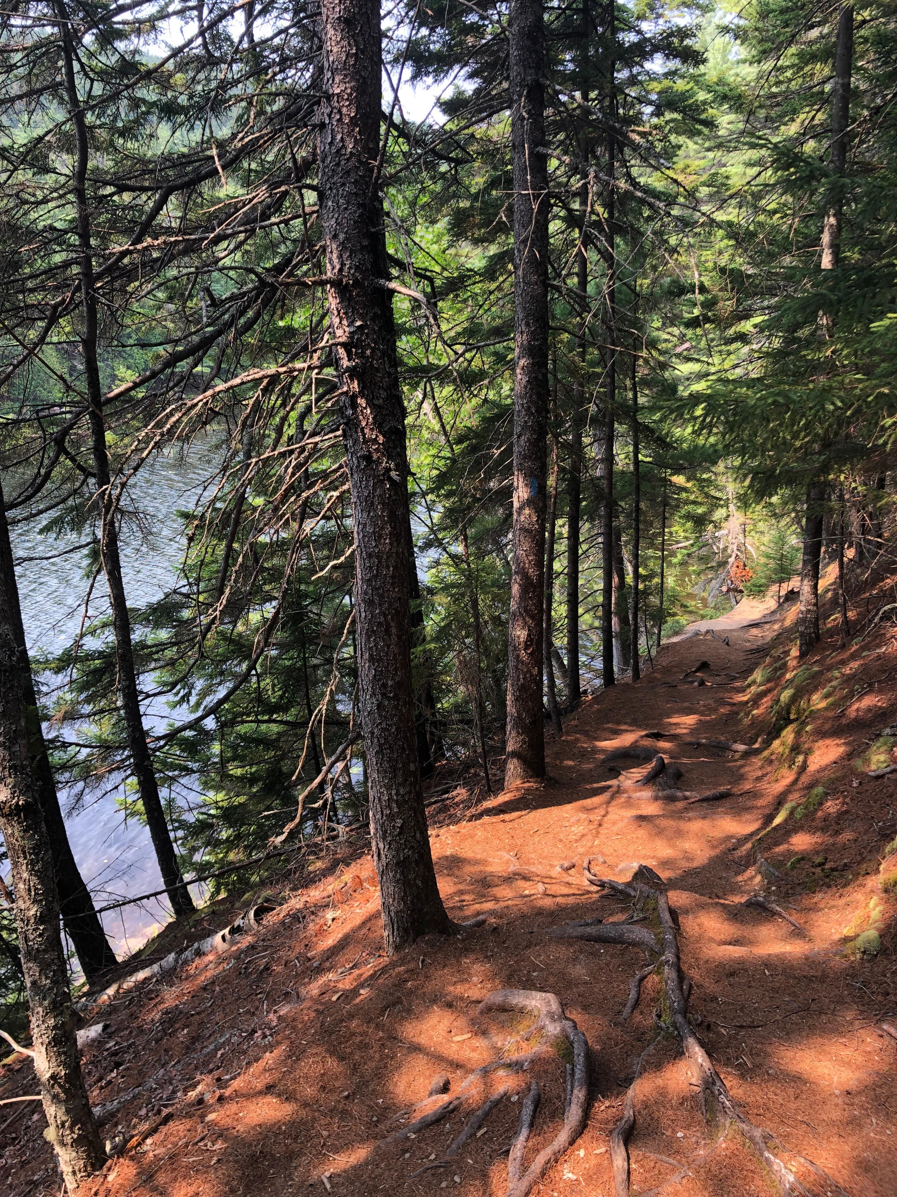 Trail right around the house/pond 