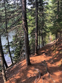 Trail right around the house/pond