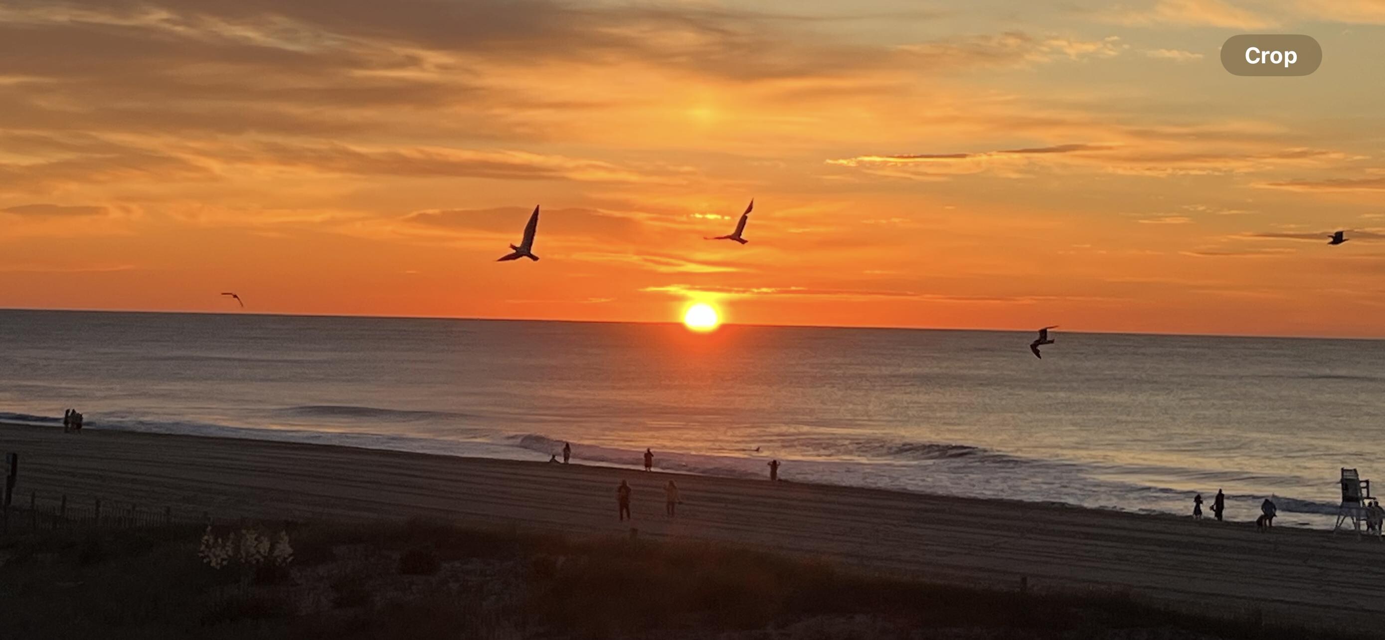 Beautiful sunrise 