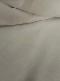 The bed sheet had a spot on it about where your bottom would be and it totally grossed me out and asked for clean sheets.