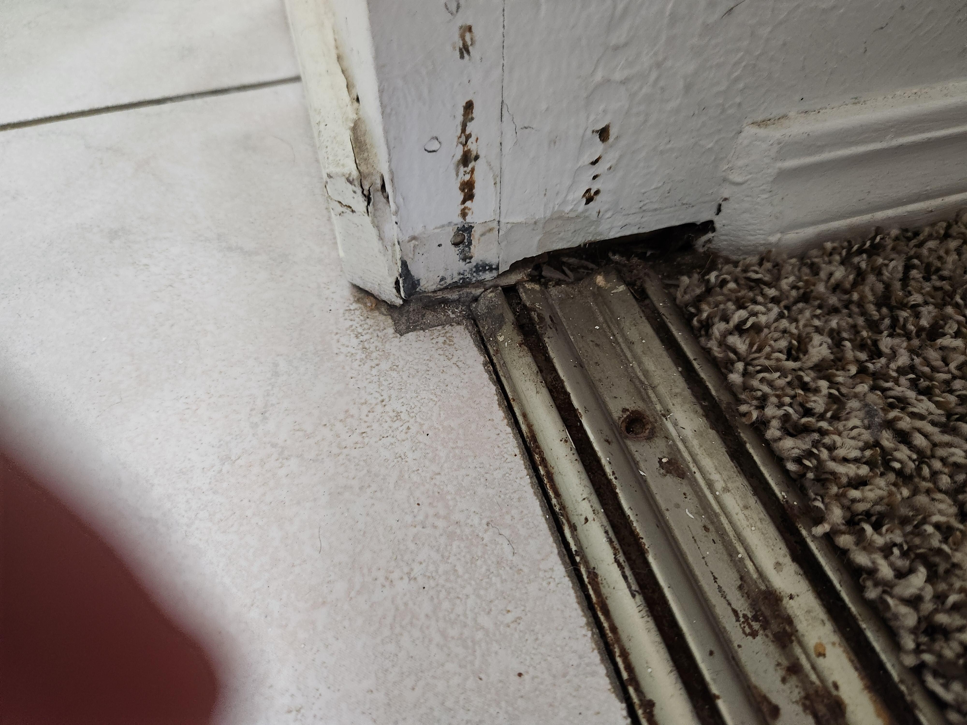 Several Areas Moldy Looking and Not Remodeled