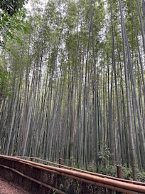 A short walk to teramachi area !
