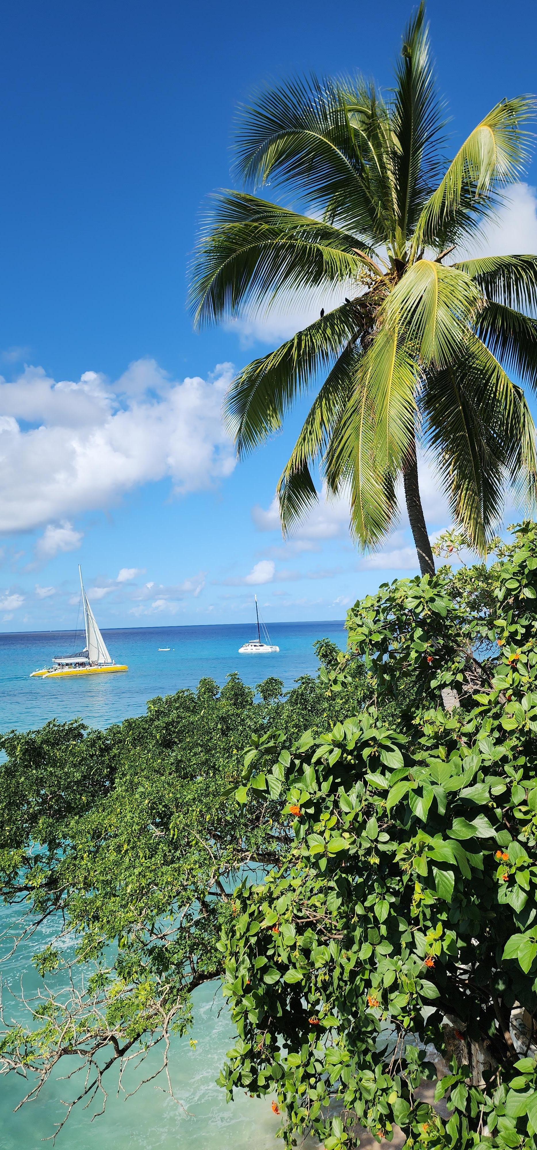 View from villa veranda. 