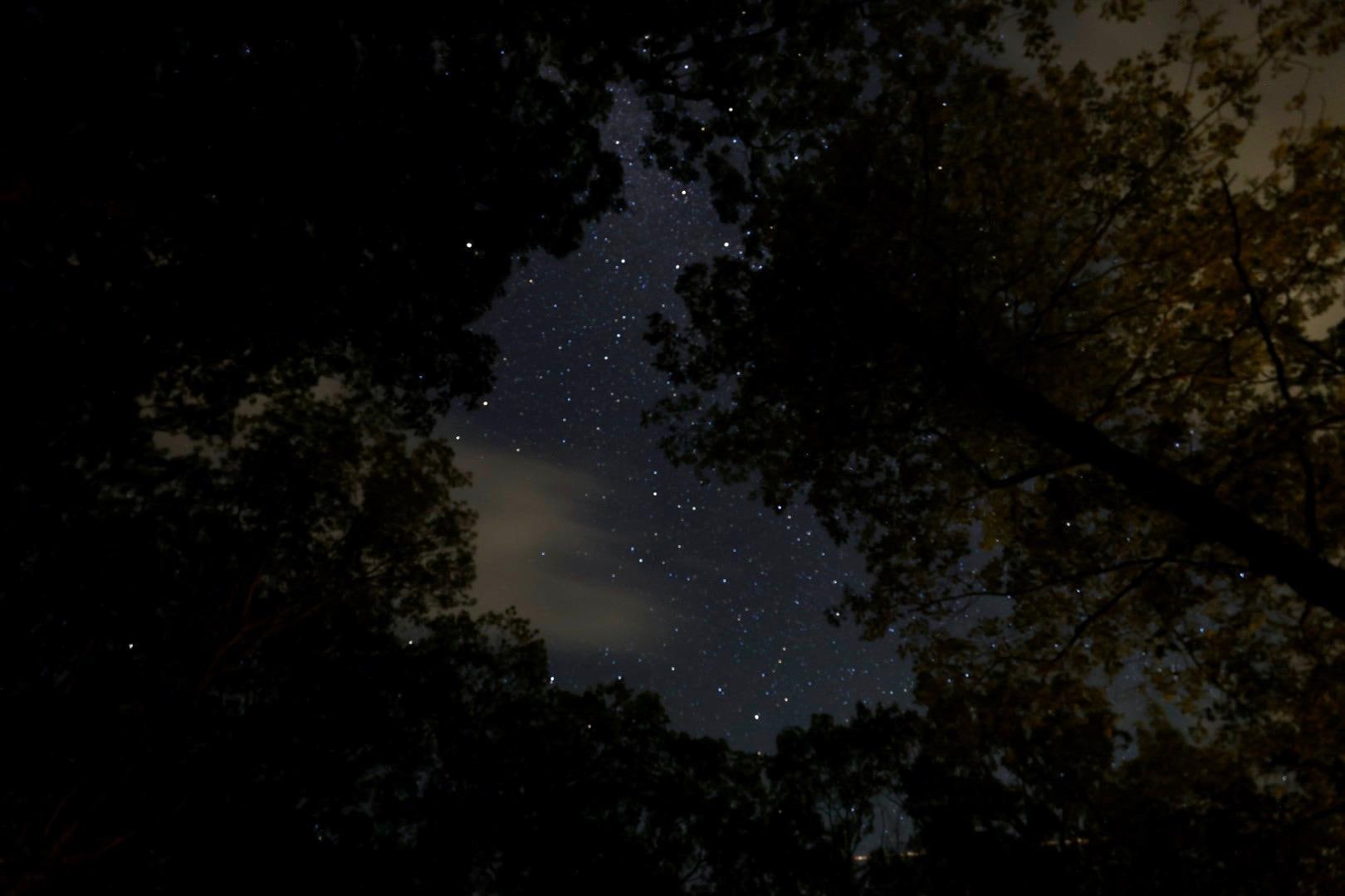 Stargazing (make sure all the house lights are off for the best view!!)