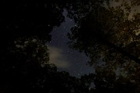 Stargazing (make sure all the house lights are off for the best view!!)