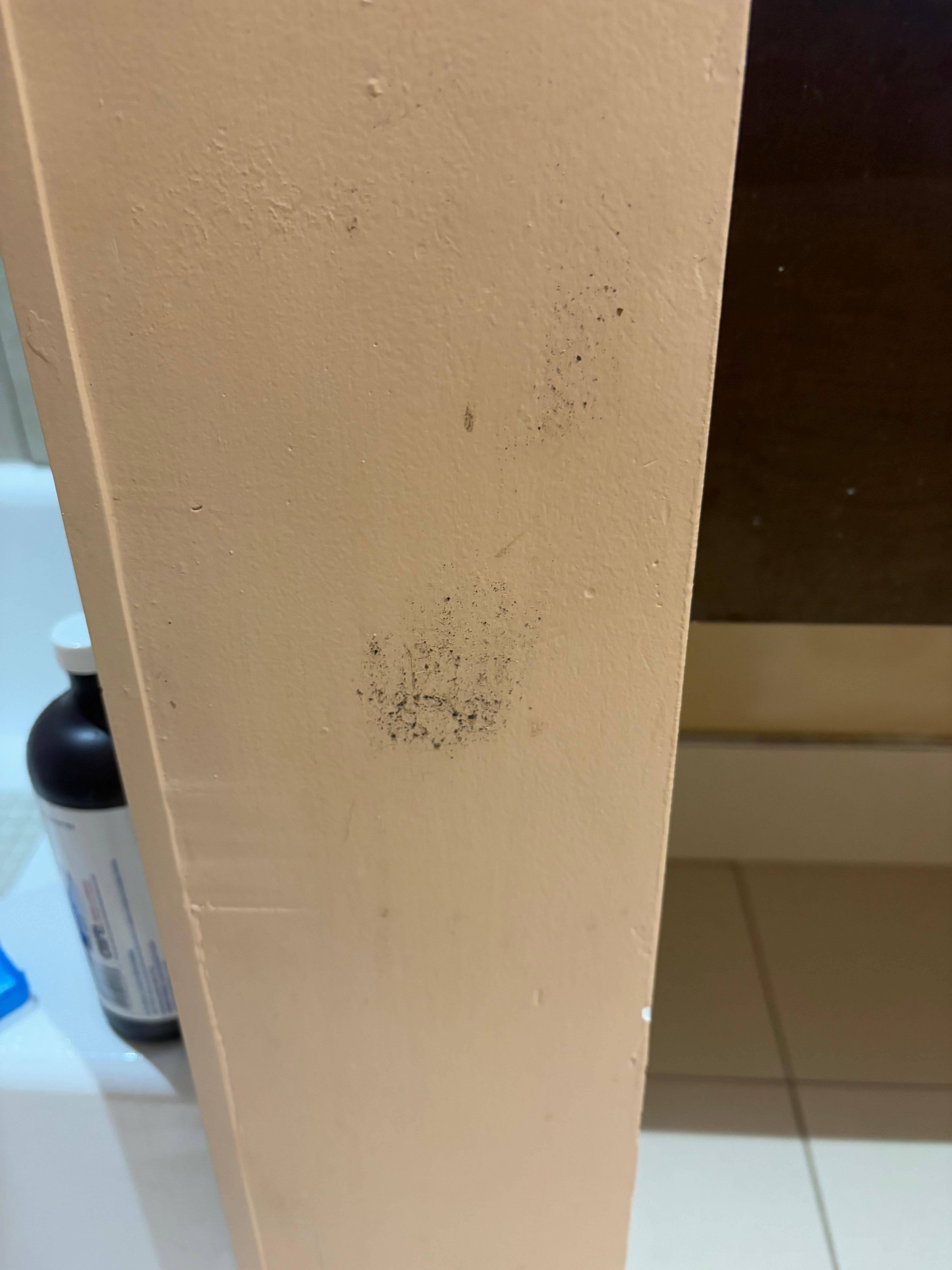 Mould on the wall in the bathroom.
