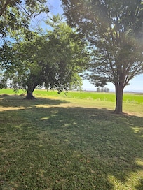 Front lawn area