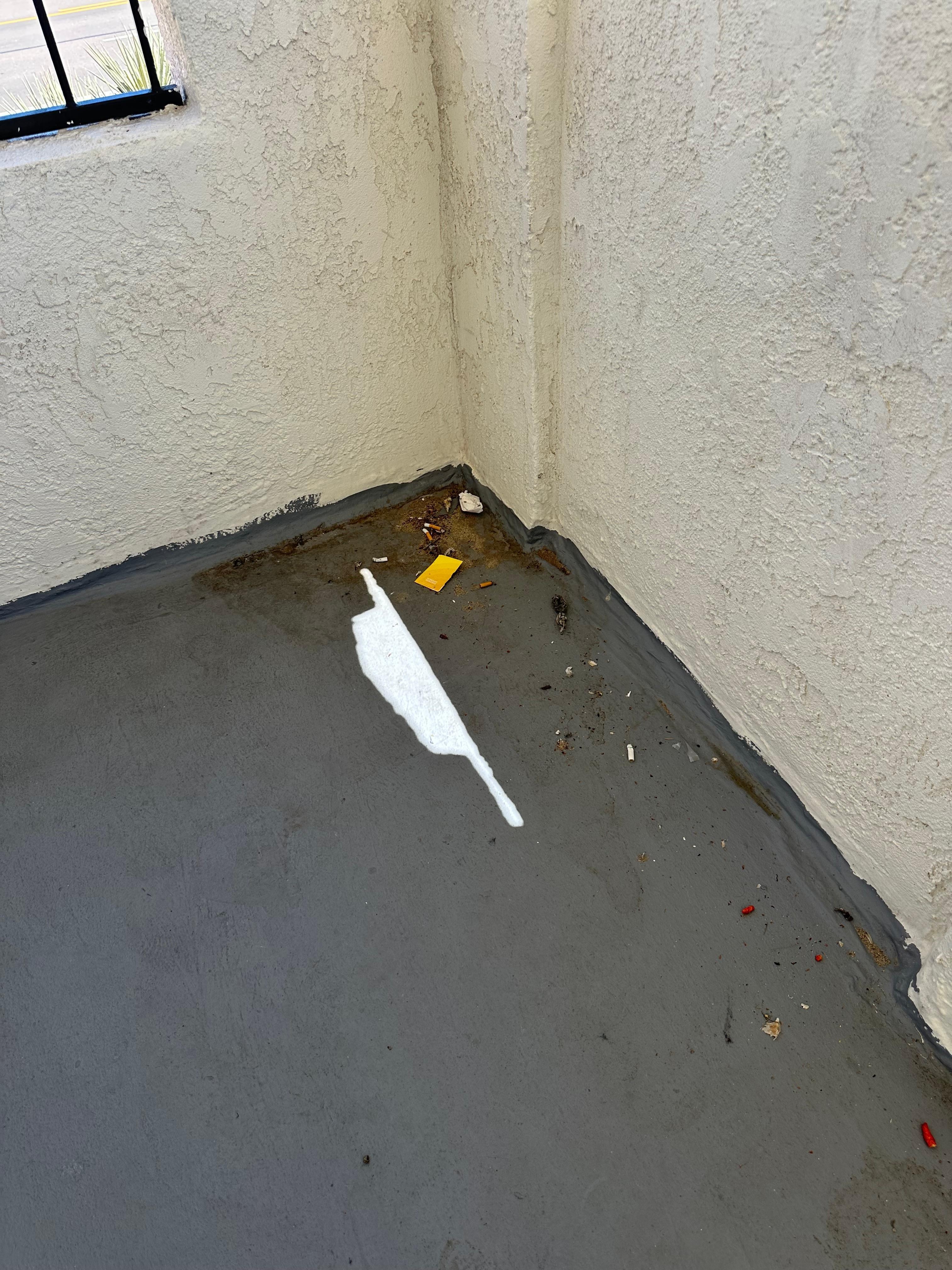 Butts cigarettes by our door