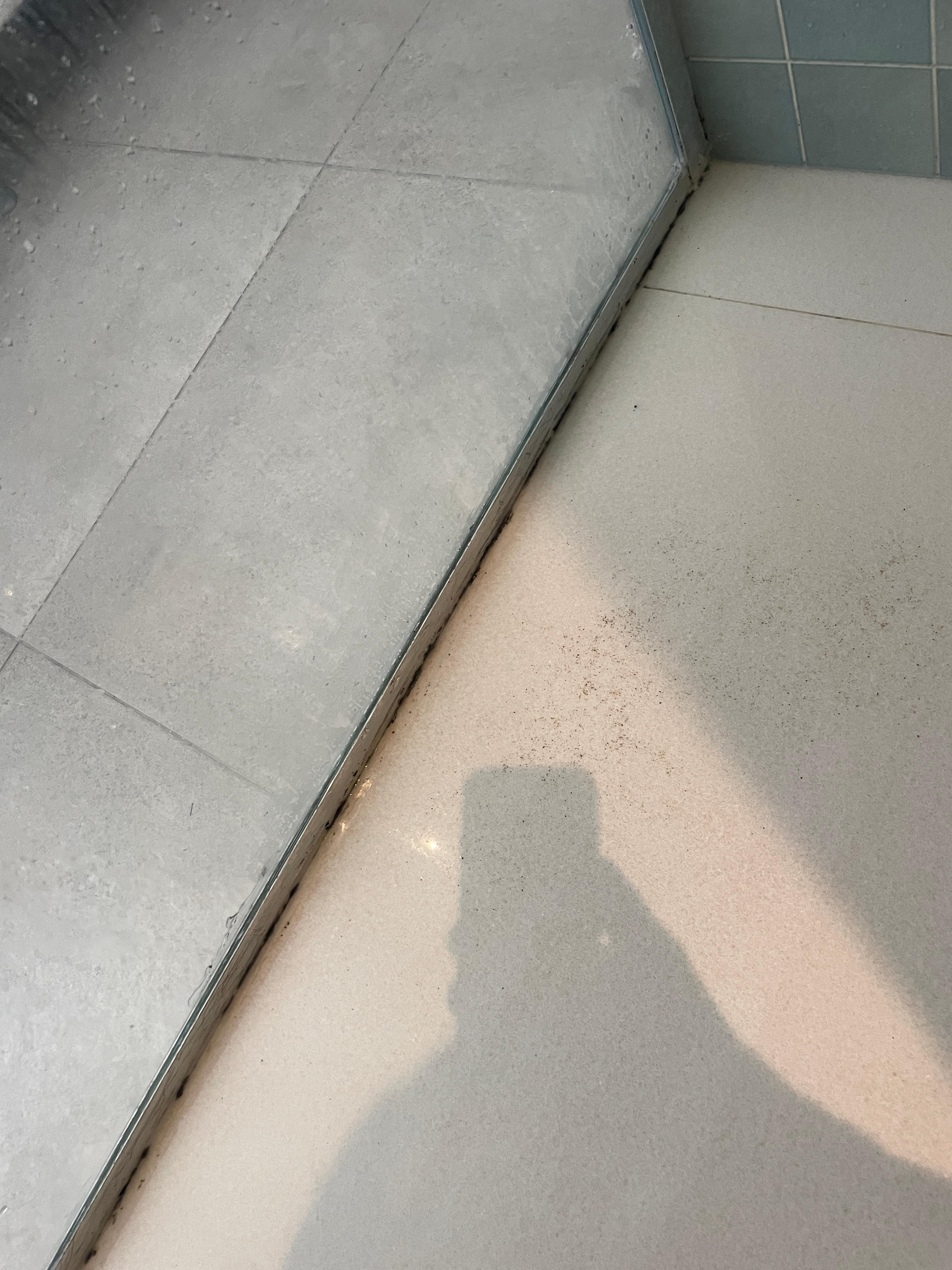 Mould in shower