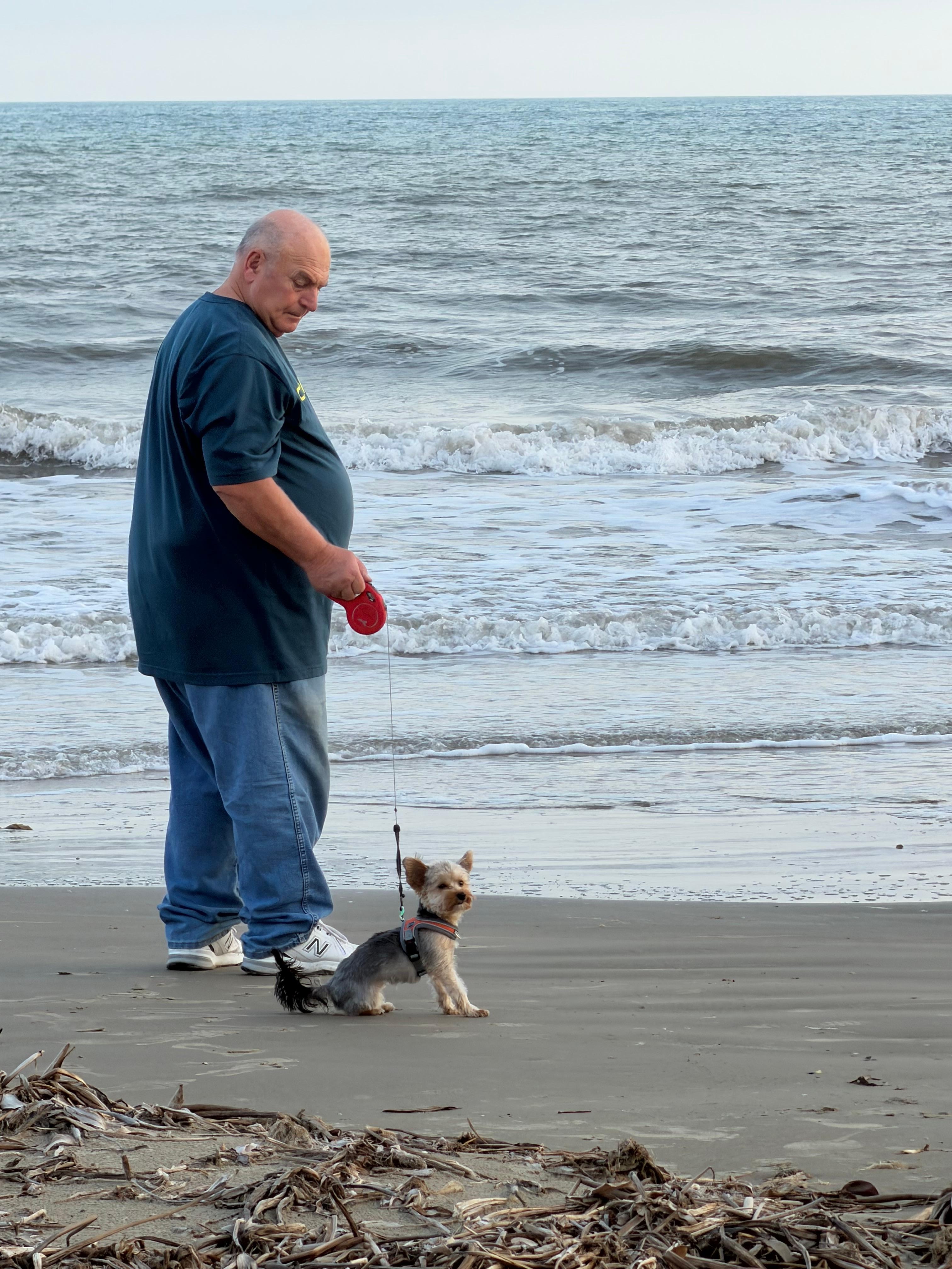 Our yorkies first trip to the beach
