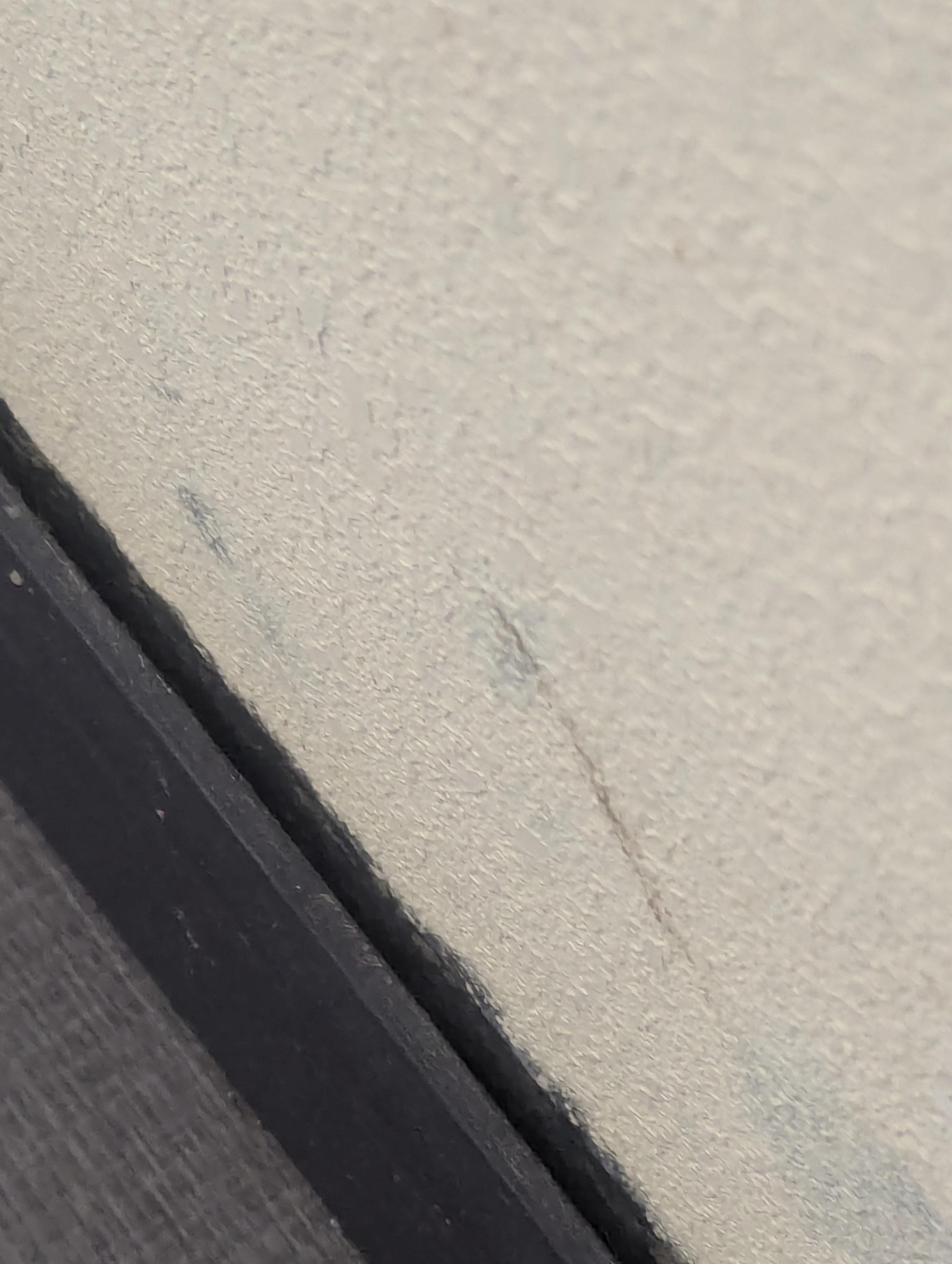 Black mold all over this wall 