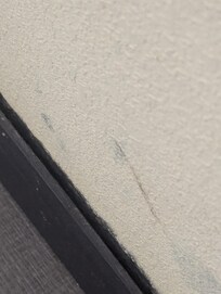Black mold all over this wall
