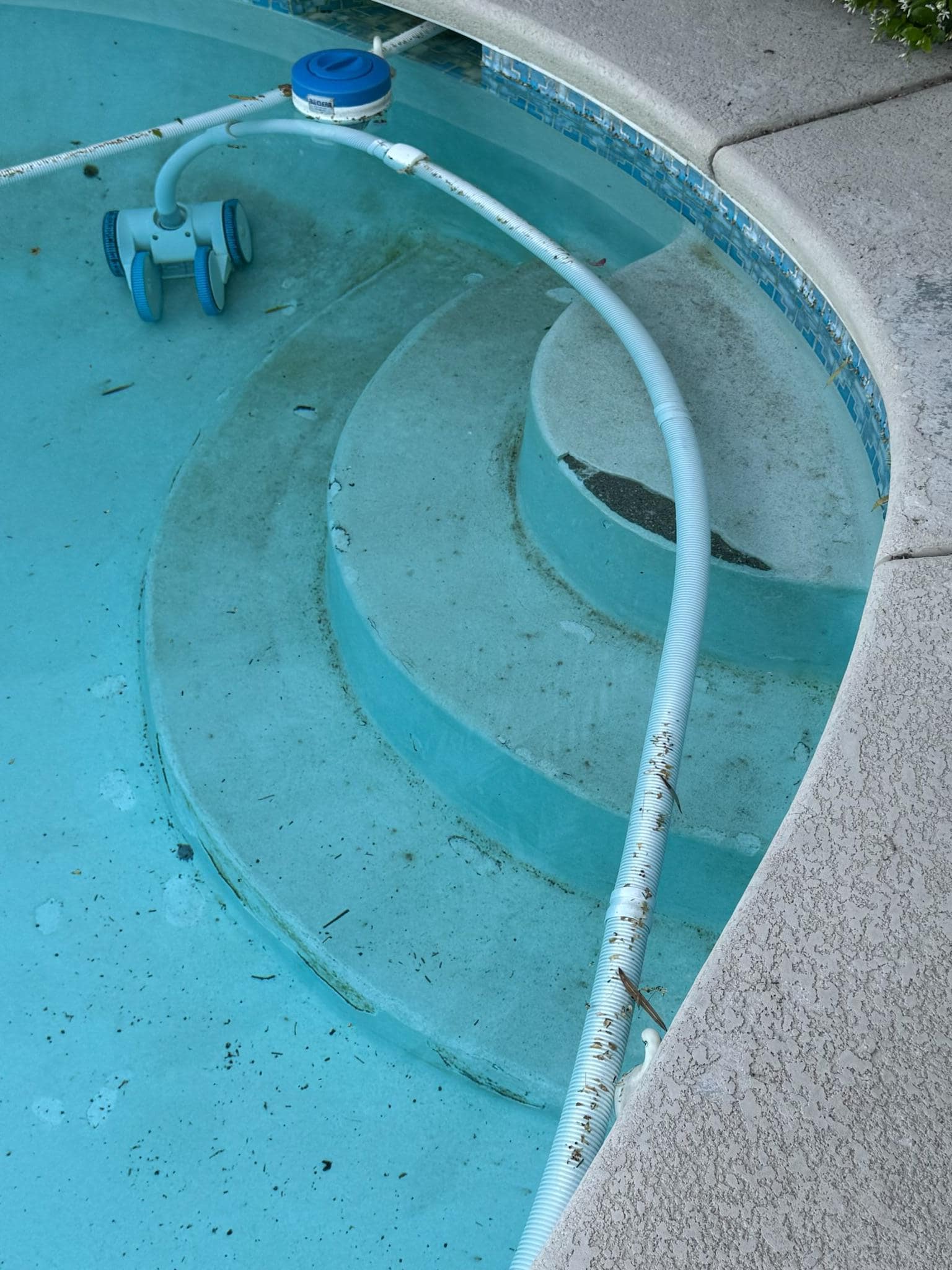 Poor steps have algae and sharp surfaces that would 100% cut your kids feet 