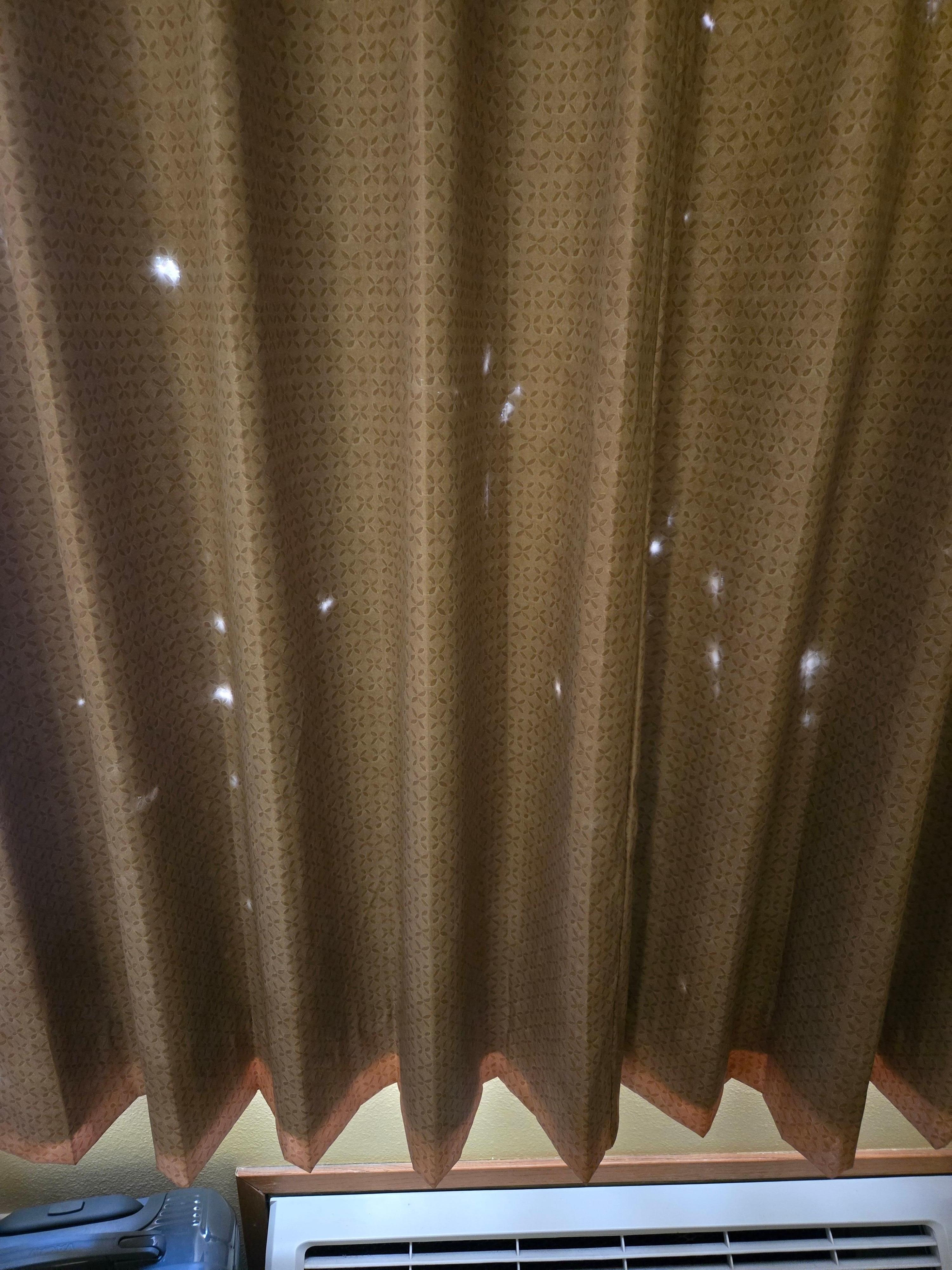 Holes in the curtain backing...bugs?
