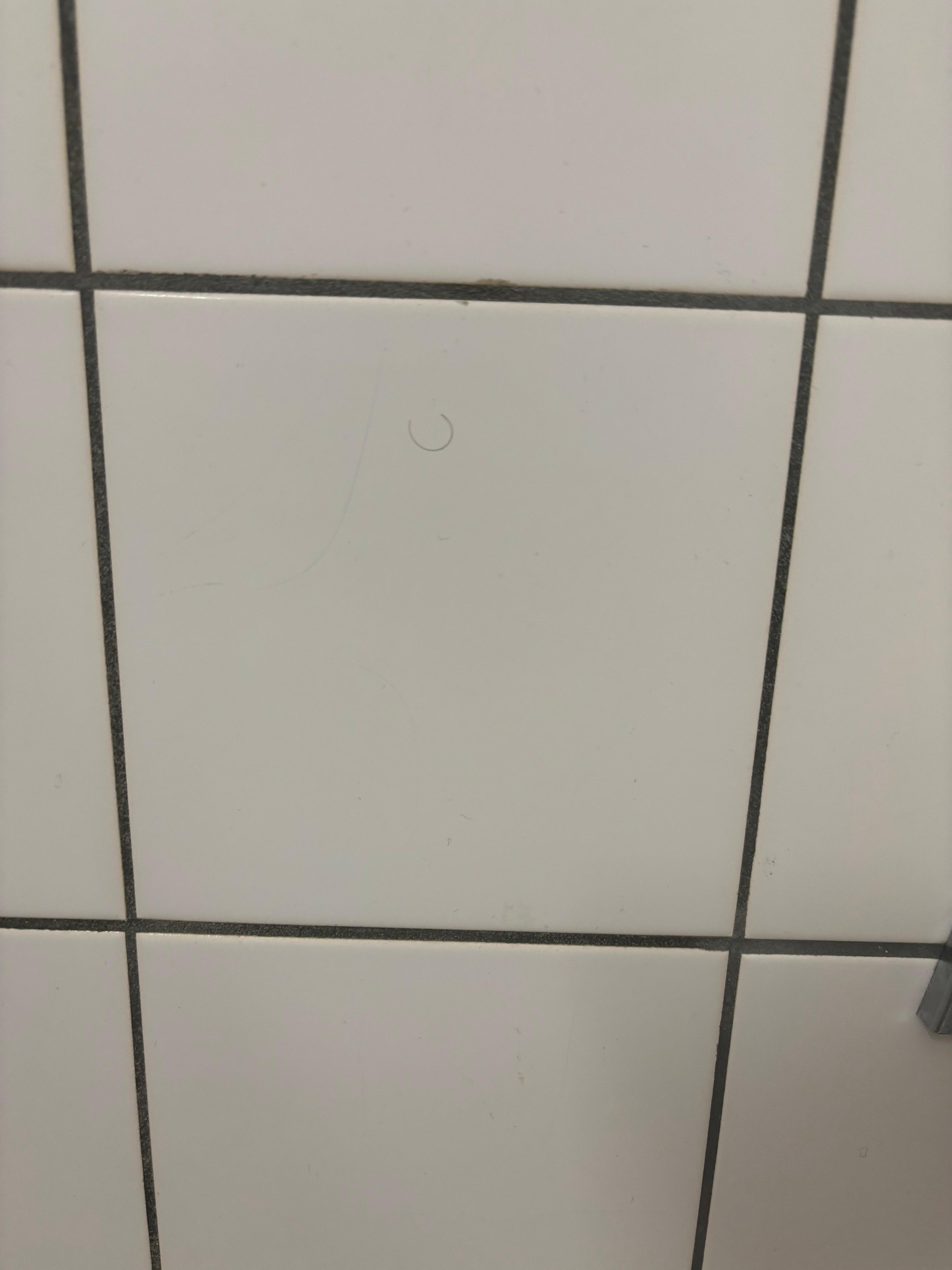 Peep the middle tile towards the top for the pube. 