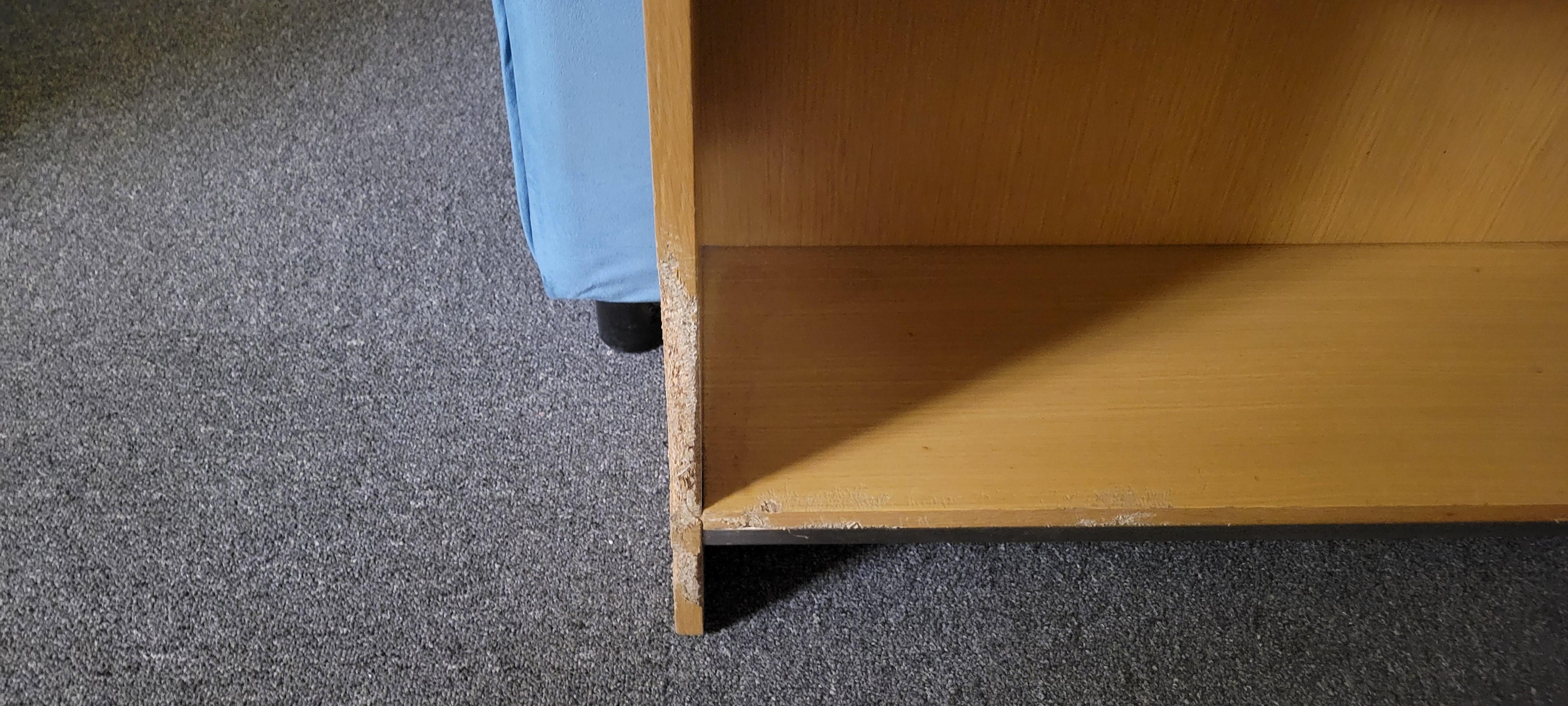 Chewed up furniture