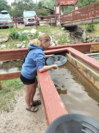 Panning for gold at big thunder gold mine