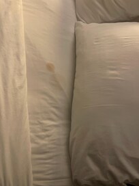 Spot on bed.