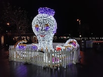 Xmas lights in Torquay