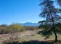 Here's a view of the Santa Ritas from the property.
