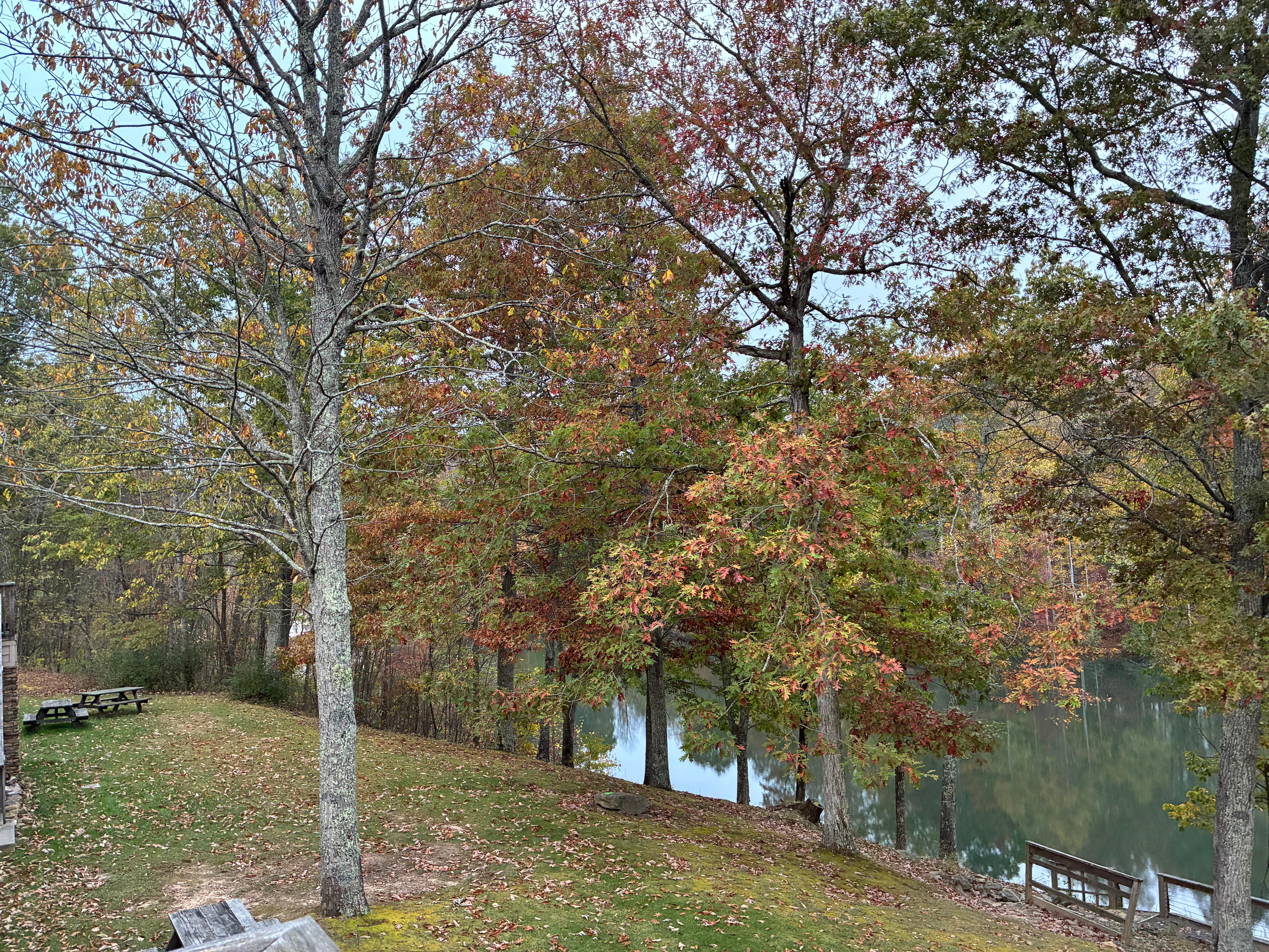 Lakefront view from room