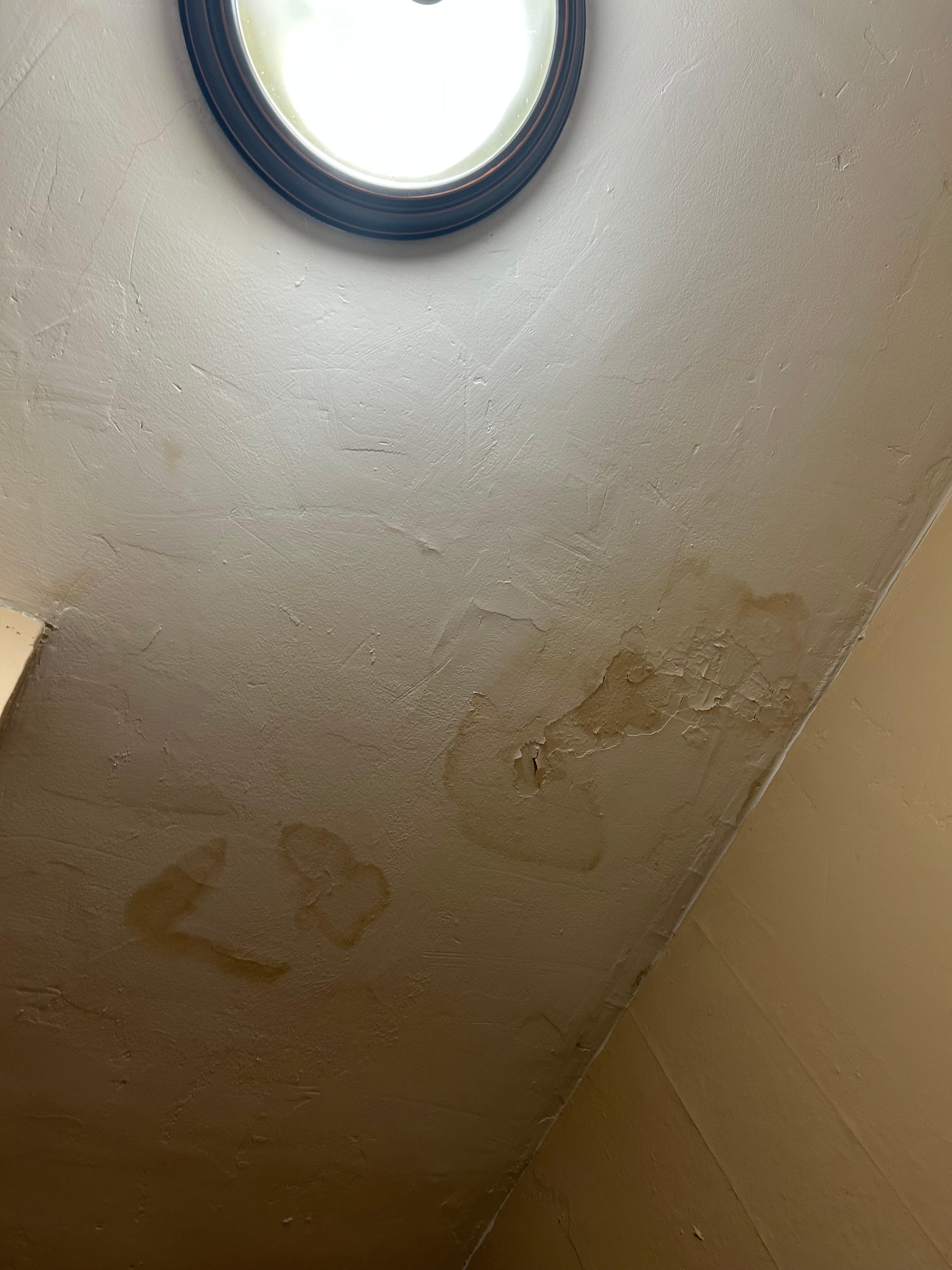 Water stains on ceiling throughout the house. Roof damage.